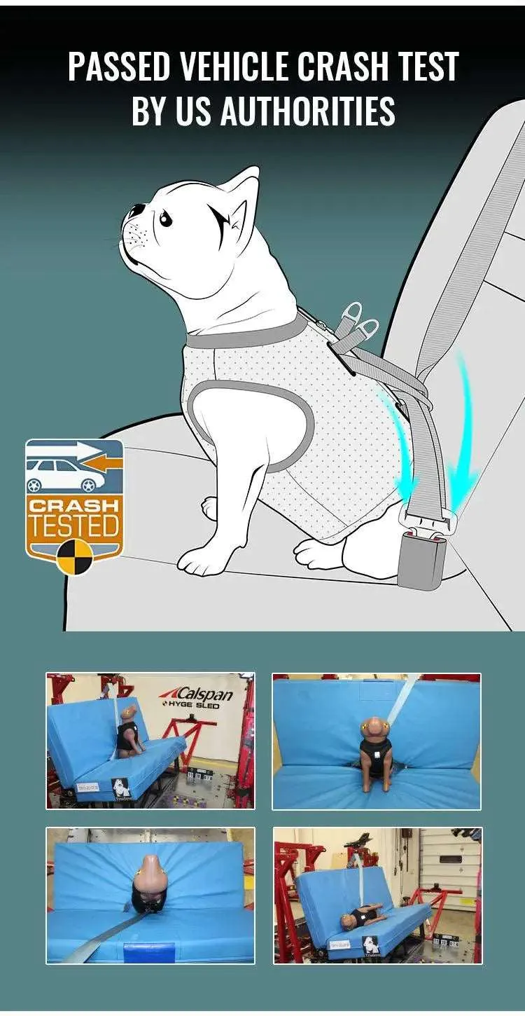 Car Seat Vest Harness for Enhanced Vehicle Safety