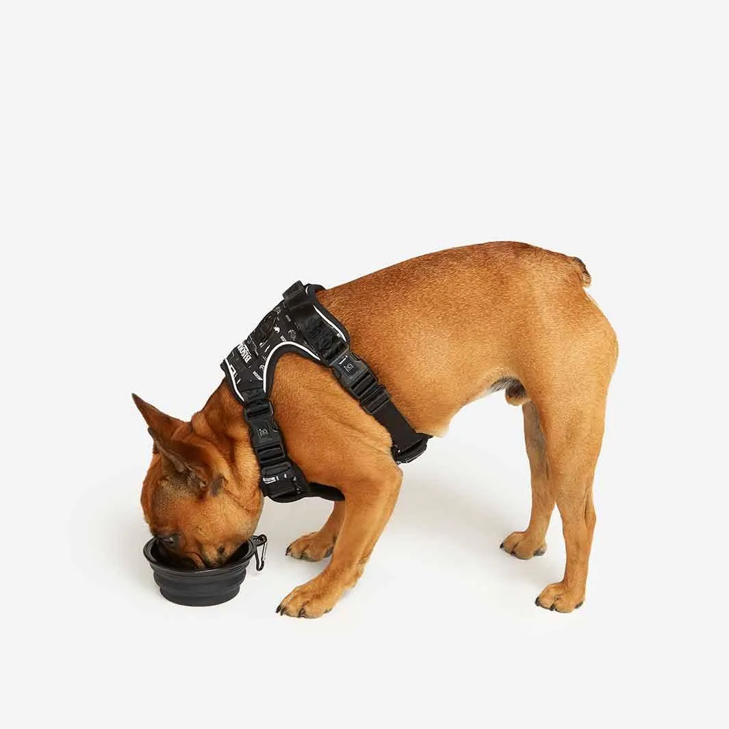 Dog Travel Water Bowl