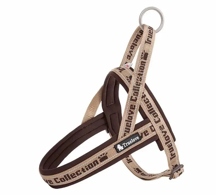 Neoprene Padded Dog Harness – Comfort, Style, and Control