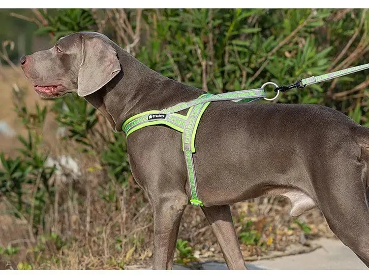 Neoprene Padded Dog Harness – Comfort, Style, and Control
