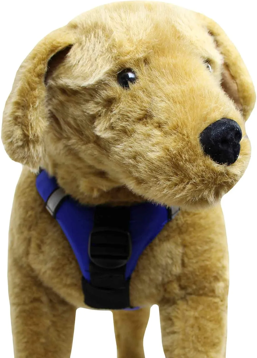 Stohlquist Pup Float Dog Lifejacket (PFD)-Blue-2XS